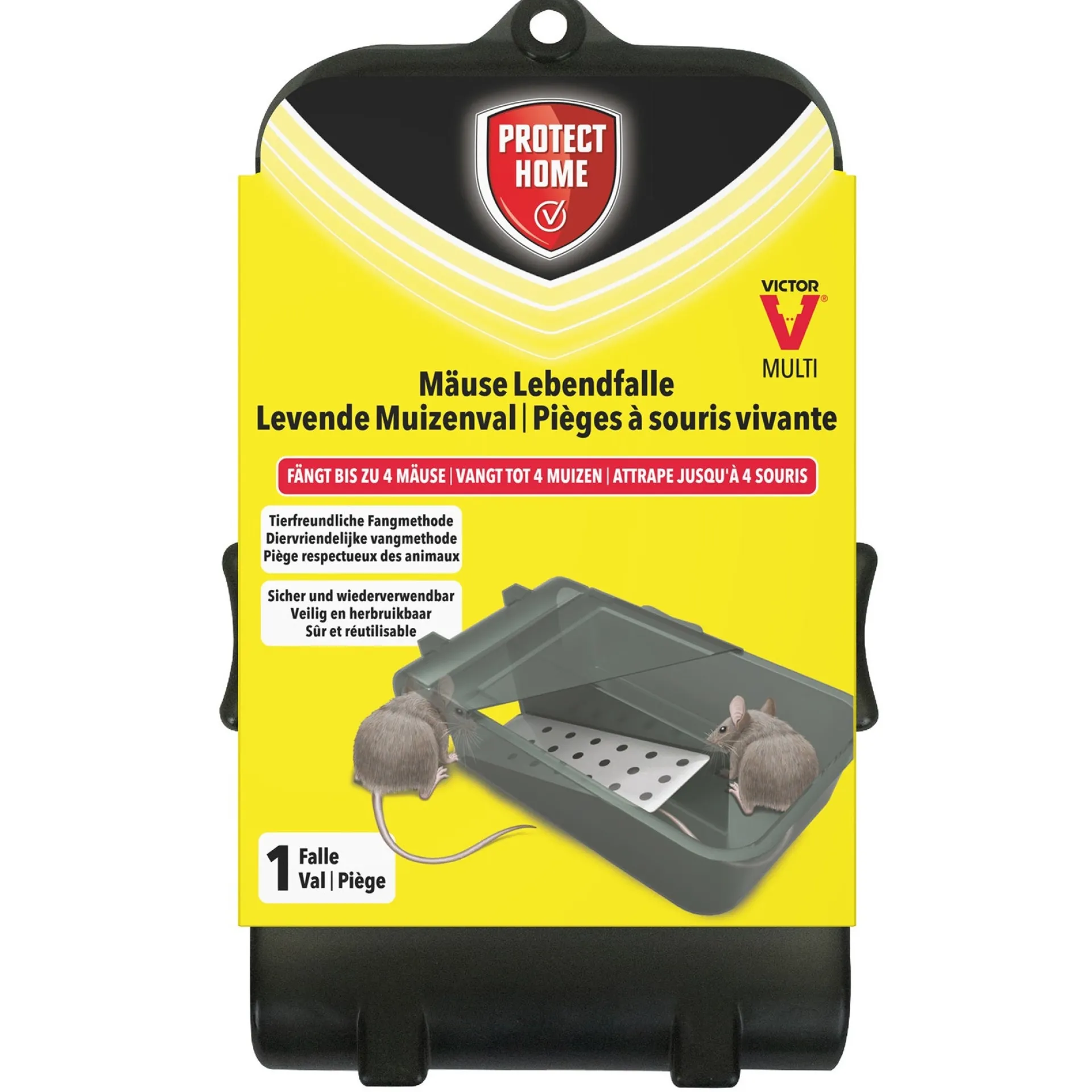 muizenval-catchhold-victor-MFYTMCfe-0.webp New Protect Home Muizenval Catch+hold Victor