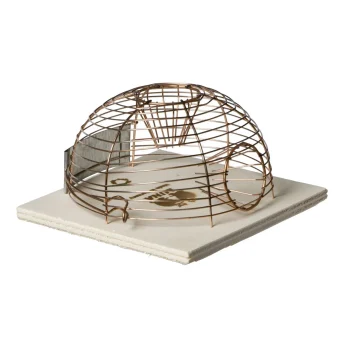 Outlet Luna Muizenval Korfmodel