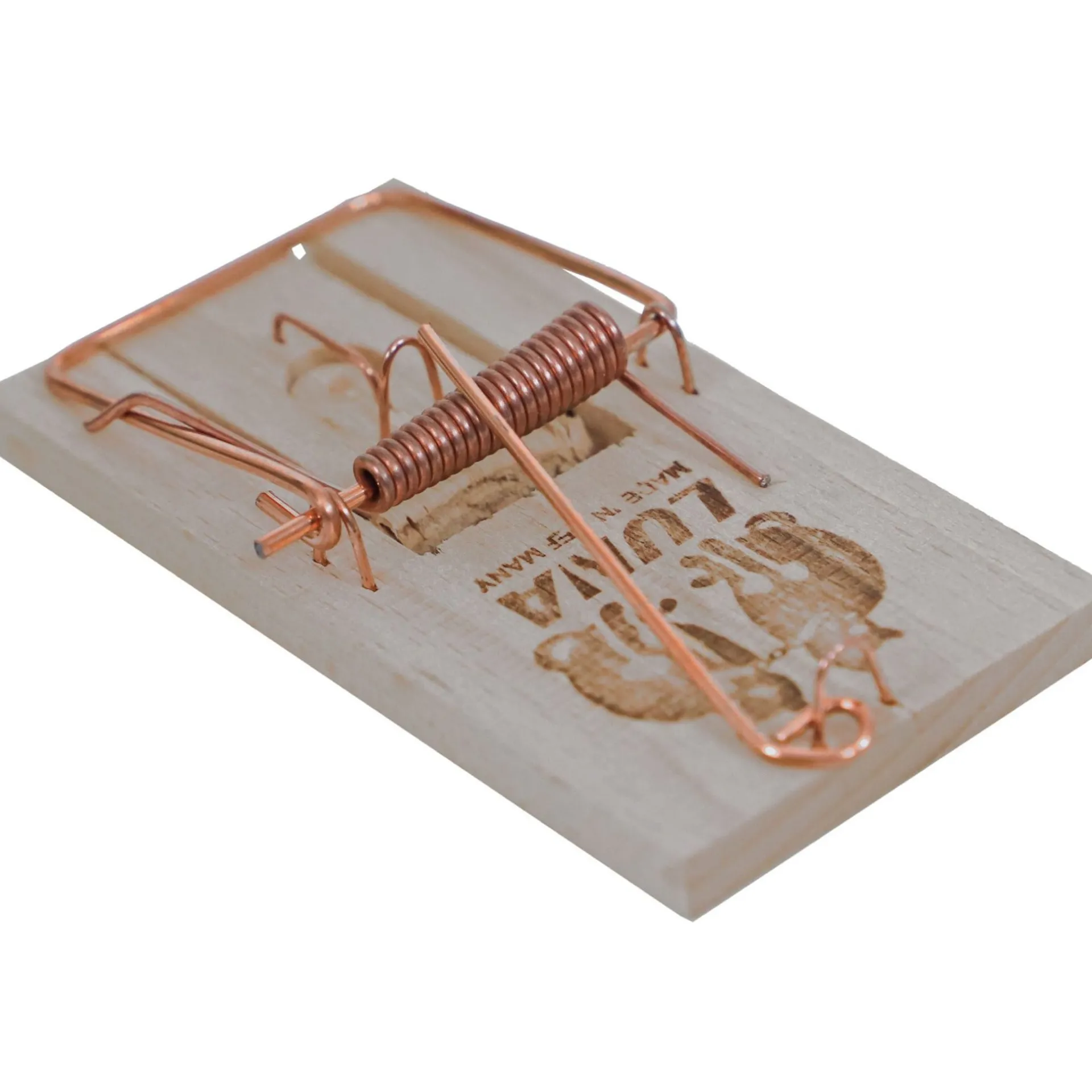 muizenval-luna-kYXWivbL-0.webp Best Luna Muizenval