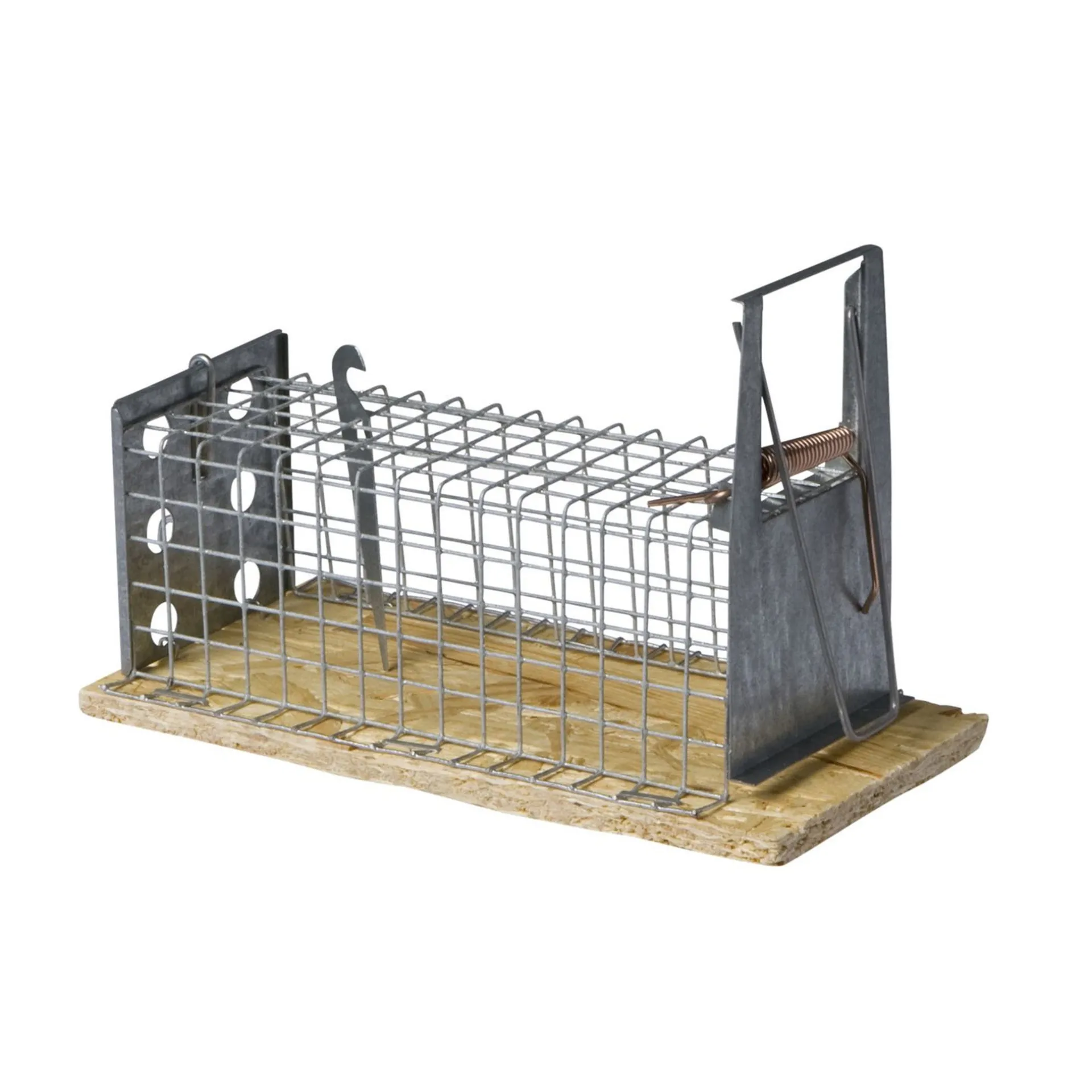 muizenval-tunnelmodel-13cm-lun-KvwDWVNg-0.webp Discount Luna Muizenval Tunnelmodel 13cm