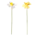 New Decoris Narcis 39 Cm