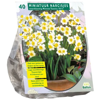 Fashion Baltus Narcis Mini Minnow Per 40