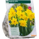 Sale Baltus Narcis Trompet Geel Per 15