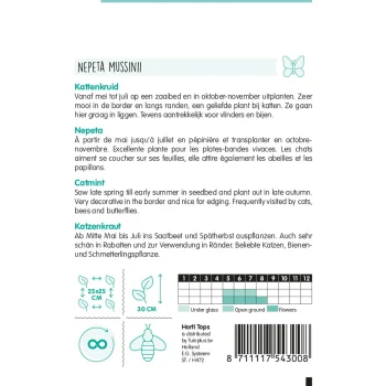 Fashion Horti Tops Nepeta Kattenkruid