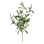 olijftak-85-cm-pAzaGtVH-0.webp