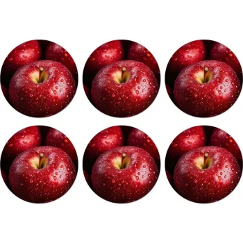 Fashion Natural Collections Onderzetter Rond Fruit 10 Cm 6 Assorti
