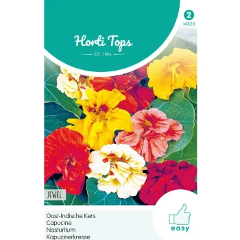 Outlet Horti Tops Oost-Indische Kers Jewel