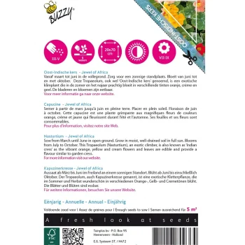 Sale Buzzy Oost-Indische Kers Majus