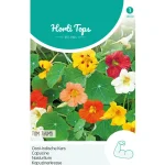 Online Horti Tops Oost-Indische Kers Tom Thumb