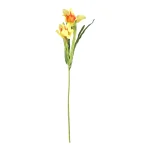 paasbloemen-58-cm-geel-6-assor-tGCfFgai-0.webp