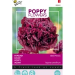 papaver-black-paeony-yTomZAwl-0.webp