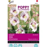 Outlet Buzzy Papaver Blauwmaanzaad