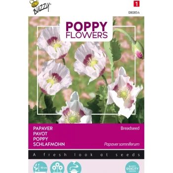 Outlet Buzzy Papaver Blauwmaanzaad