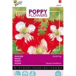 Clearance Buzzy Papaver Deense Vlag