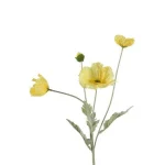 papaver-geel-63-cm-TmsclJWK-0.webp
