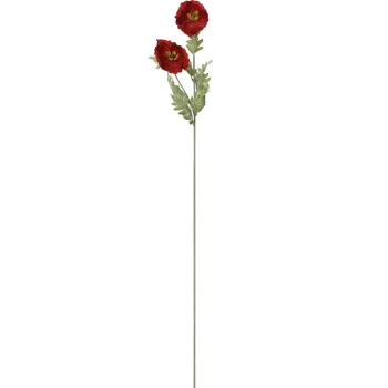 Discount Everlands Papaver Op Steel 106 Cm Rood
