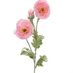 New Everlands Papaver Roze 106 Cm