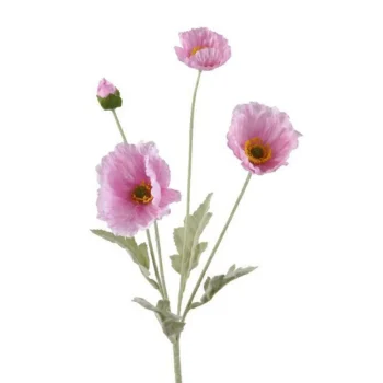 Outlet Everlands Papaver Roze 63 Cm