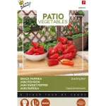 paprika-snacking-red-wxKoSlBR-0.webp