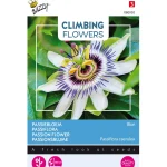 Outlet Buzzy Passiebloem Blauw