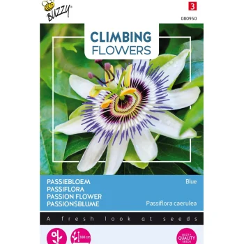 Outlet Buzzy Passiebloem Blauw