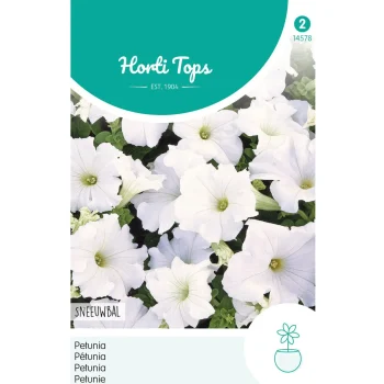 Hot Horti Tops Petunia Sneeuwbal