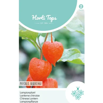 Fashion Horti Tops Physalis Lampionplant