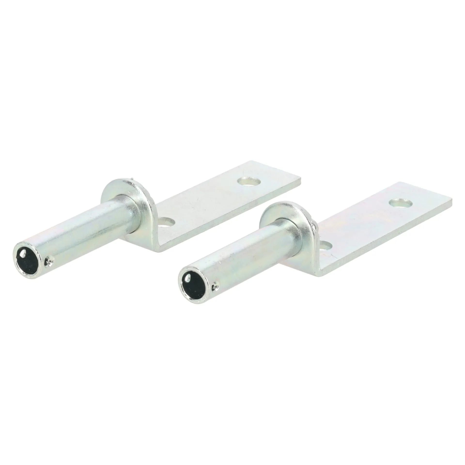 pin-voor-klepscharnier-2st-tp-PLZQQwEd-0.webp Hot Lotus Pin Voor Klepscharnier 2st TP-68