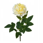 New Everlands Pioen Op Steel 70 Cm Zacht Geel