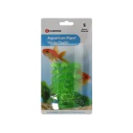 plant-aqua-plastic-s-assorti-OuLrvElo-0.webp