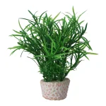plant-aquarium-plastic-assorti-TkYYrBTP-0.webp