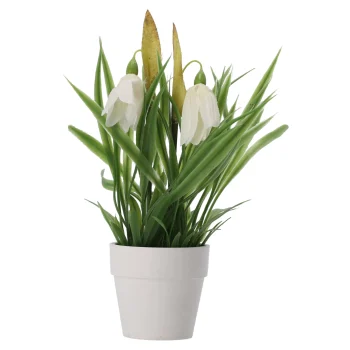 Fashion Everlands Plant In Pot 20 Cm Diverse Assorti