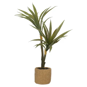 Hot Plant In Pot 60 Cm