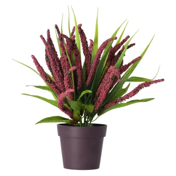 Online O'malley Plant K 30 Cm