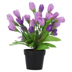 Fashion O'malley Plant W 4 Assorti