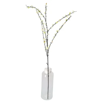 Hot O'malley Plum Blossom 110 Cm White