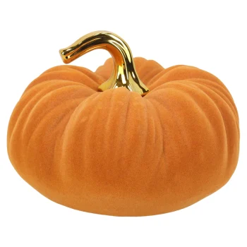 Sale Van Cranenbroek Pompoen Bruin 21x15cm