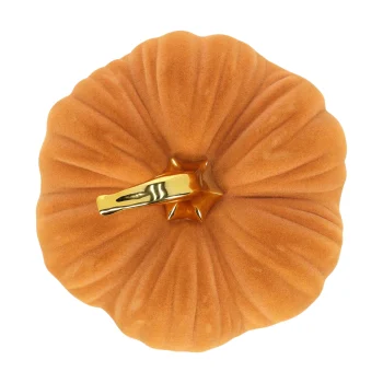 Sale Van Cranenbroek Pompoen Bruin 21x15cm