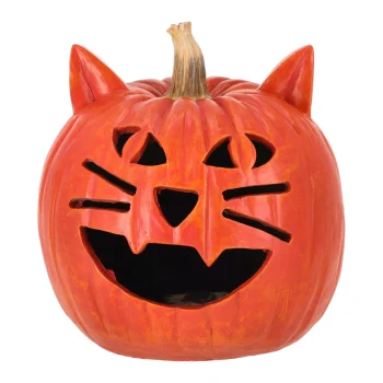 Fashion Van Cranenbroek Pompoen Halloween Kat LED 25 Cm