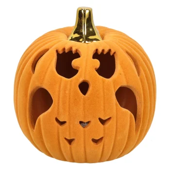 Best Van Cranenbroek Pompoen Uil 15cm