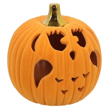 Best Van Cranenbroek Pompoen Uil 15cm