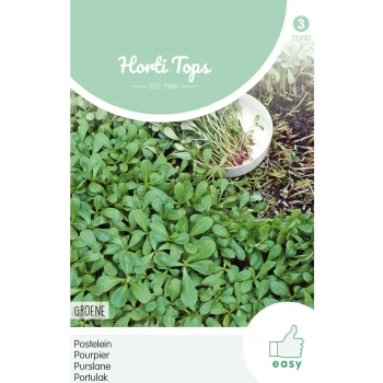 Best Horti Tops Postelein Groene, Zaad