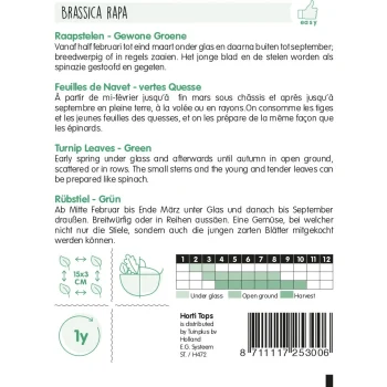Hot Horti Tops Raapstelen Groene, Zaad