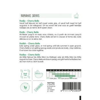 Clearance Horti Tops Radijs Cherry Belle Zaad