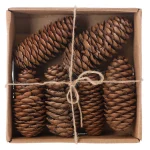 Discount Natural Collections Raicone Nature 6st