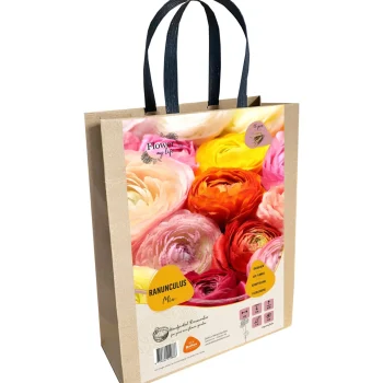 Best Baltus Ranonkel Flower My Life Giftbag