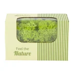 Fashion Natural Collections Rendiermos Springgreen 50g