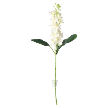 Clearance O'malley Ridderspoor 51 Cm Wit