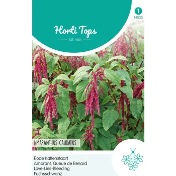 Discount Horti Tops Rode Kattenstaart