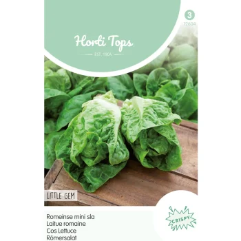 Sale Horti Tops Romeinse Mini Sla Little Gem